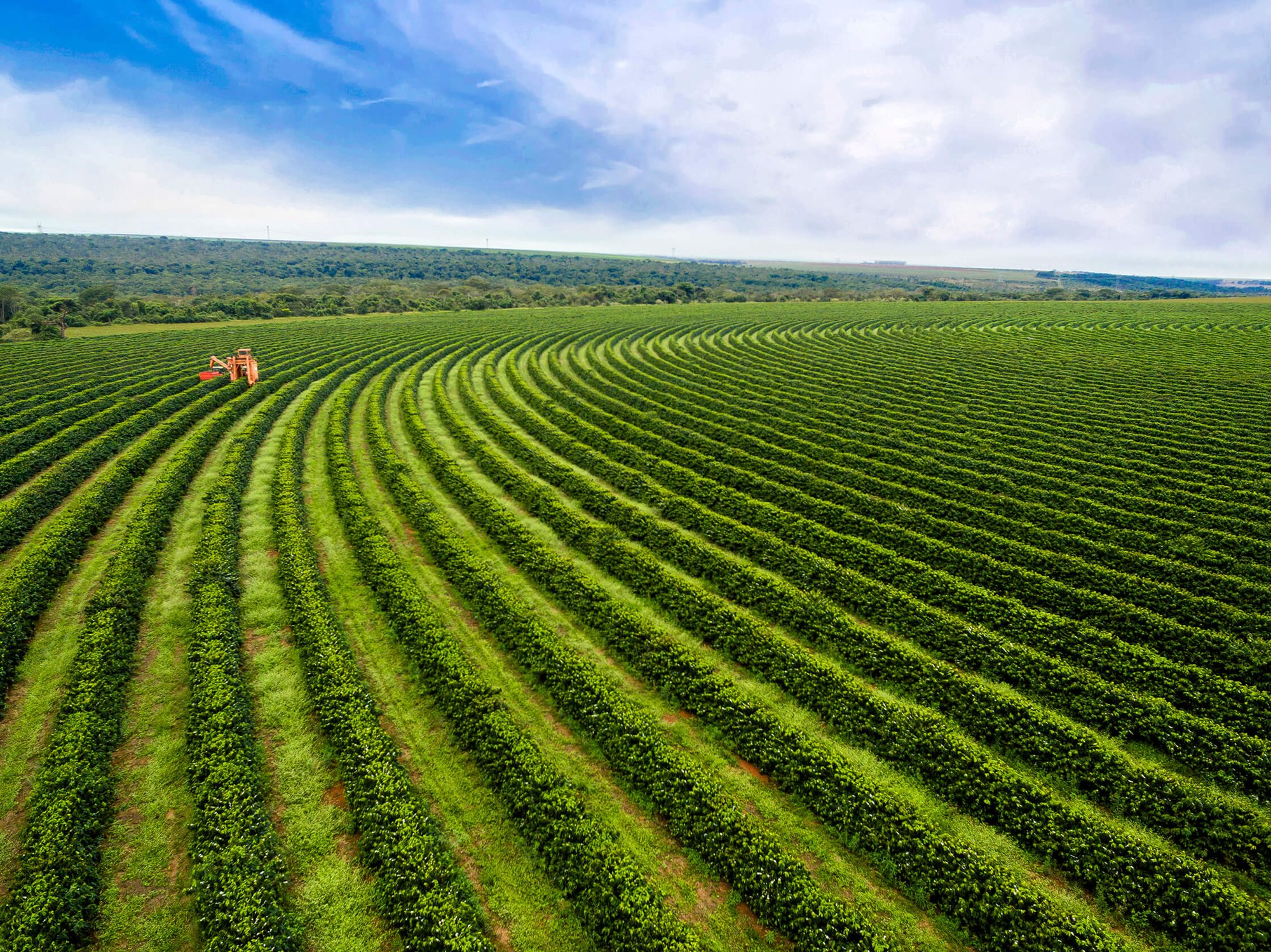 iStock-1586165598 iStock-1586165598