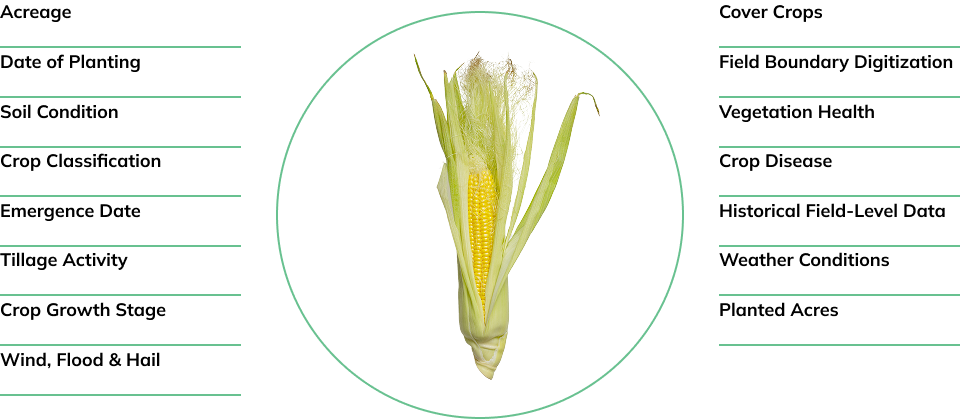 agriculture-earth-observation-insights-infographic agriculture-earth-observation-insights-infographic