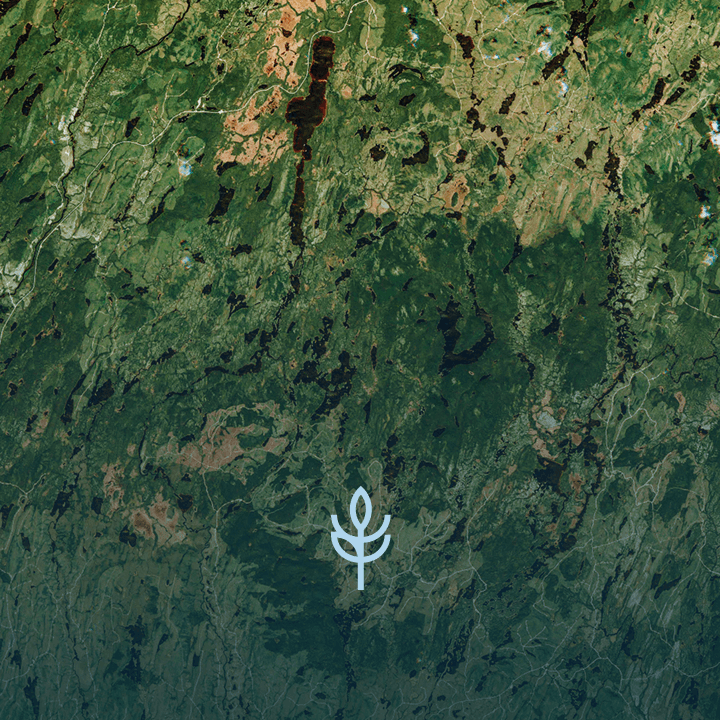 Vegetation-EarthDaily-Data-Layer