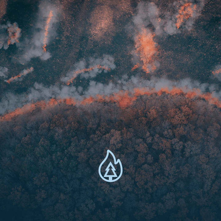 Wildfire-EarthDaily-Data-Layer